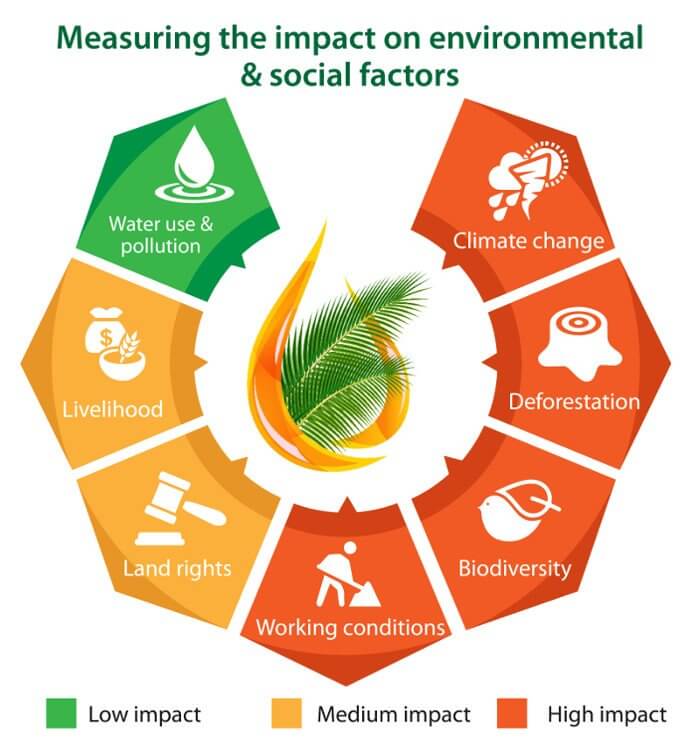 Palm oil - measuring the impact on envirnmental & social factors