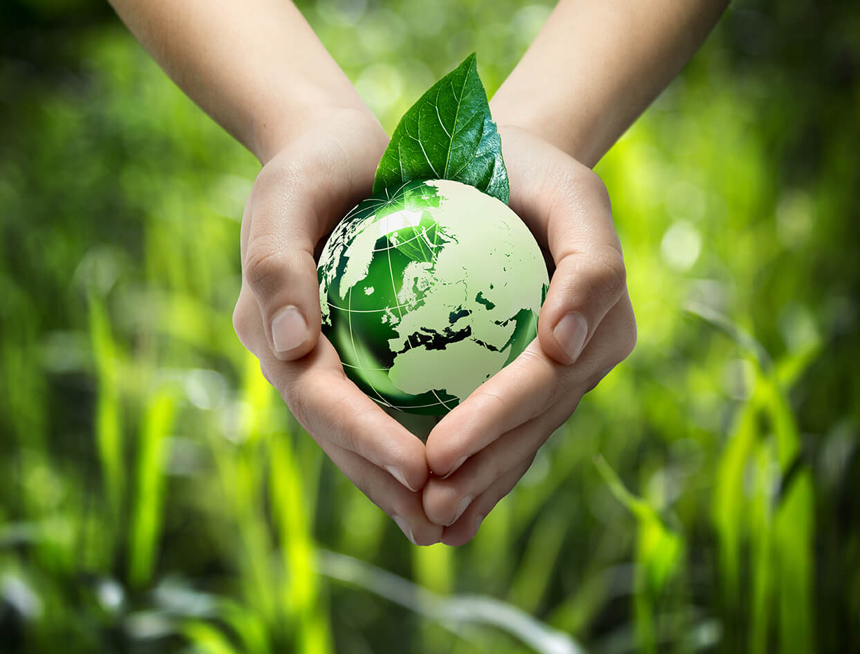 Green Bonds - A Fresh Investment Perspective