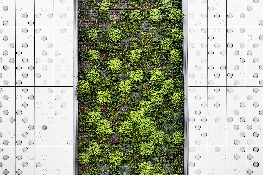 Top Sustainable Companies in 2022