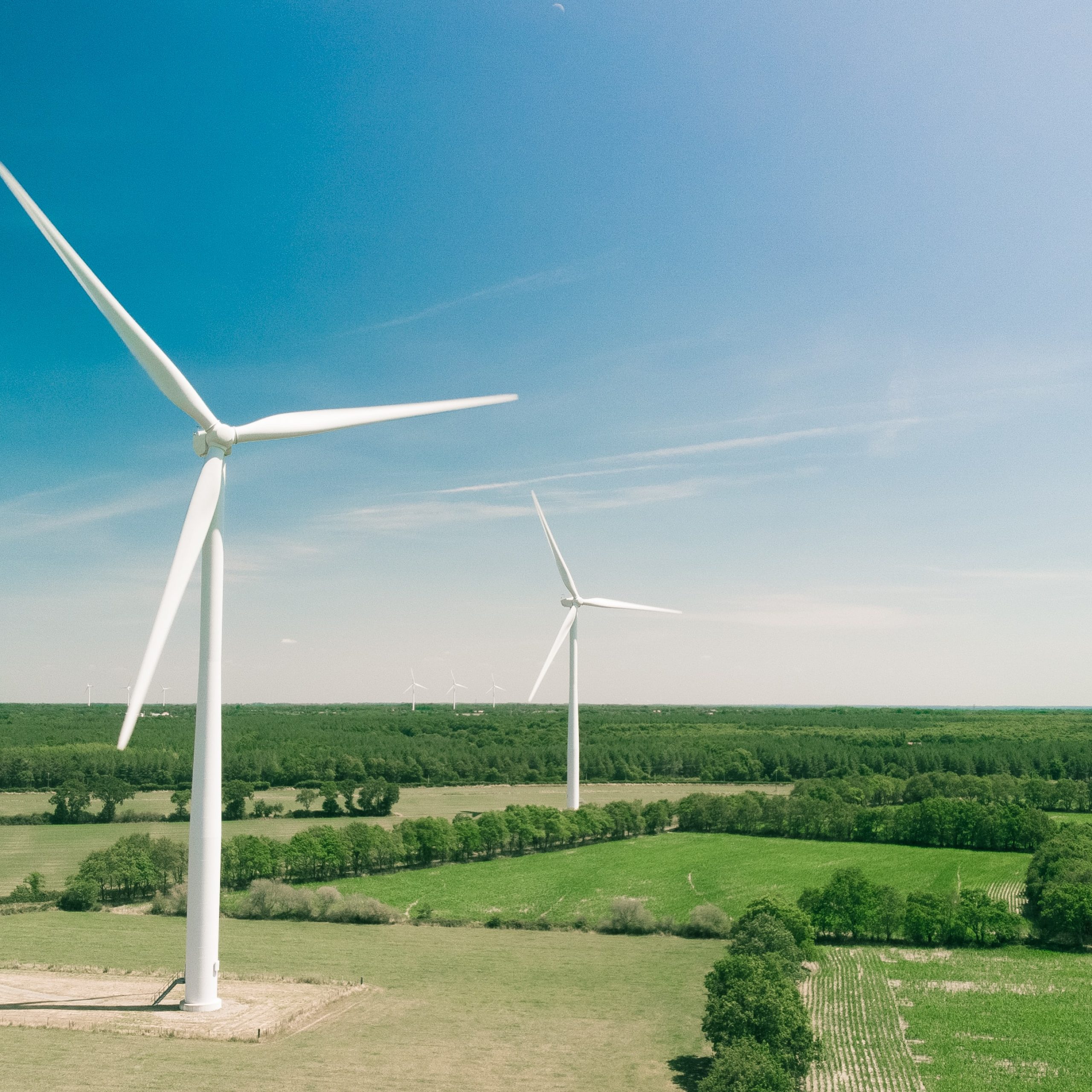 15 Top-Rated ESG Stocks to Consider in 2025