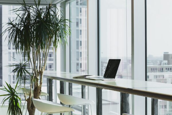 Data Management: Streamlining the Corporate ESG Ecosystem