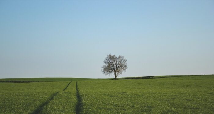 post-image