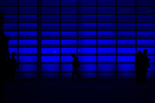 2023 Predictions: What does the year have in Store for Blockchain?