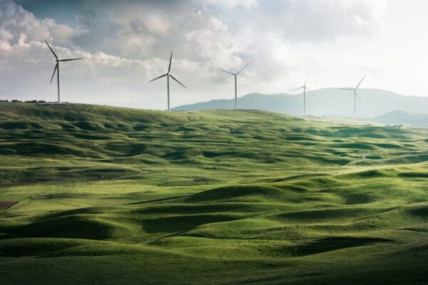 Enhancing Sustainability Disclosures