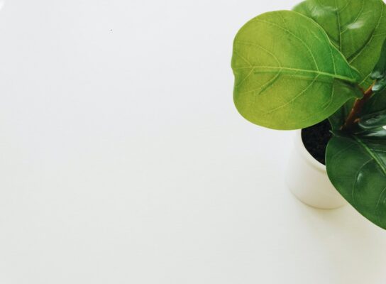 What is an ESG Investing - Meaning, Types, Strategies and Examples