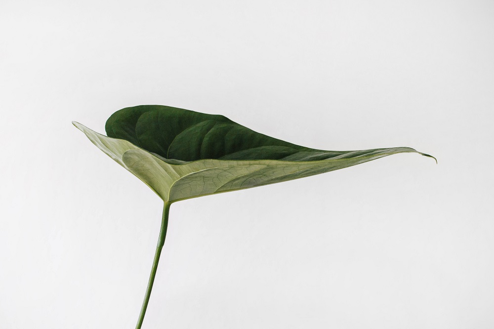 What is Corporate Sustainability Reporting Directive (CSRD)