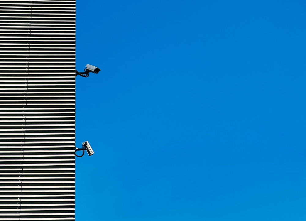Privacy Trends that will Help Protect Businesses in 2025