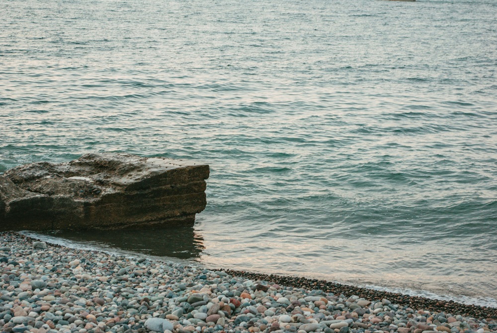 Climate Actions 2050: Setting a Competitive Path to Achieve Net-Zero Goals