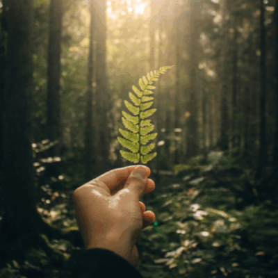 The Rise of Sustainable Finance - Impact Investment Trends