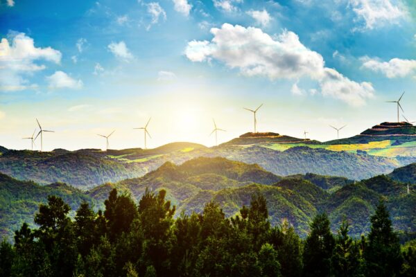 The Role of Carbon Markets in Achieving Net-Zero Emissions