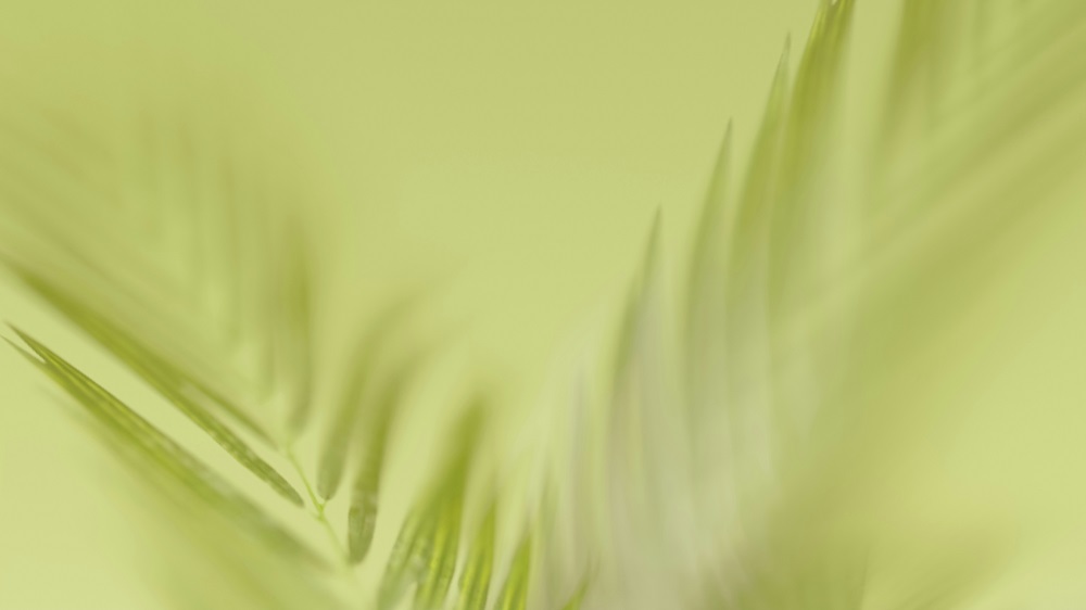 Sustainability Laundering: Why Businesses Should Be Aware of It?