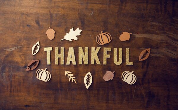 Sustainable Thanksgiving: Eco-Friendly Tips to Celebrate a Green Holiday