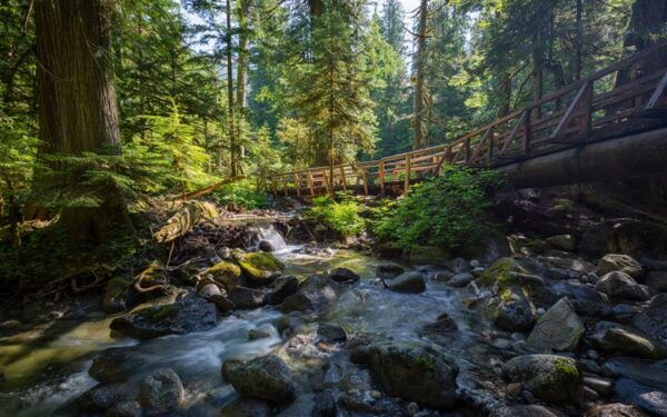 The Green Deception: Is the Promise of Sustainability Real?