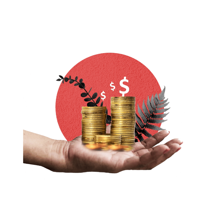 Wealth Management Technology Solutions