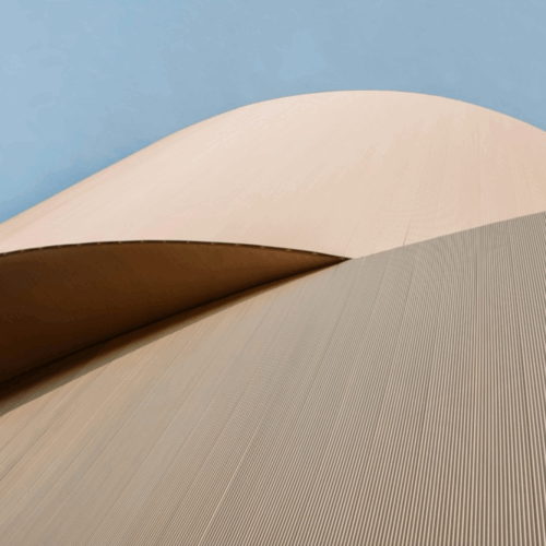 Risk Optimization: Enhancing Risk-Adjusted Portfolio Returns Through Tech-Powered Credit Insights and Domain Expertise