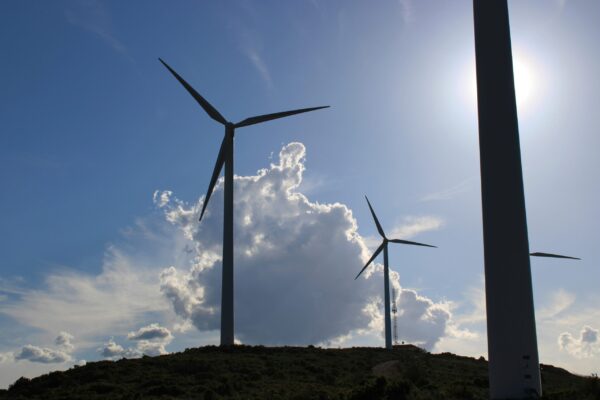 Trends to Watch in: Renewable Energy: 2025 Outlook for Solar and Wind Energy