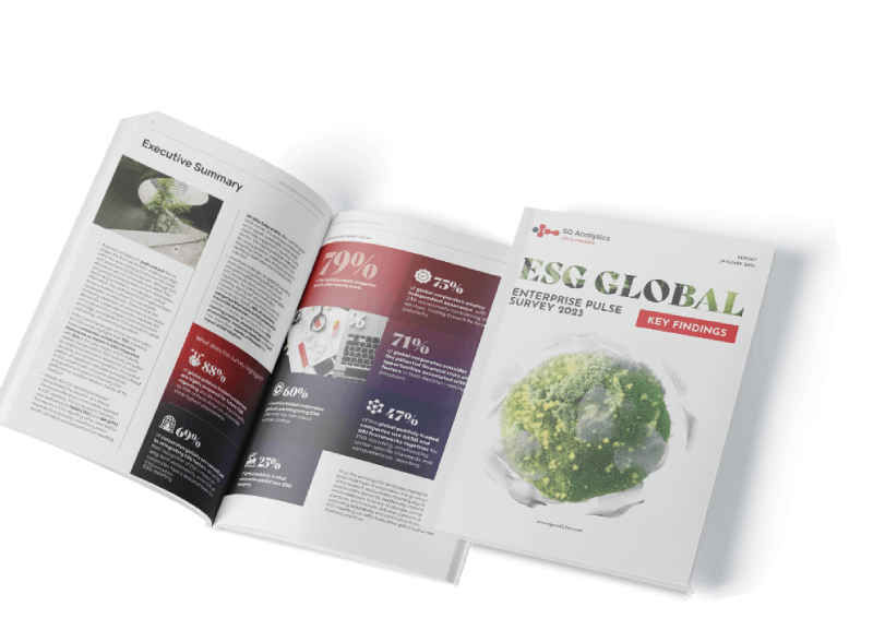 Are Global Enterprises Embracing ESG Commitments?