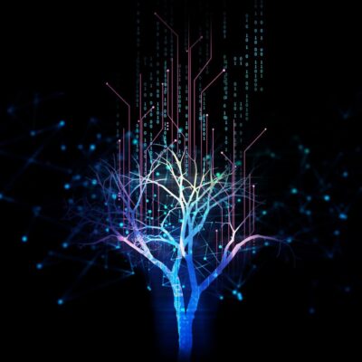 Top Digital Business Transformation Trends for 2026