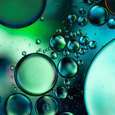 Top 10 Online Survey Panel Providers for Market Research