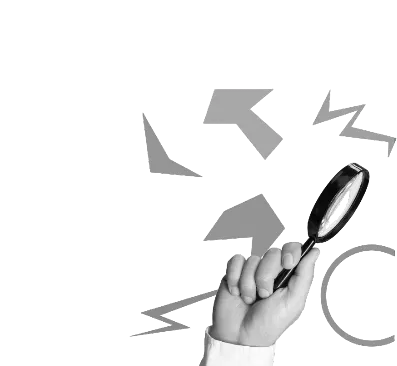 Primary Market Research Services