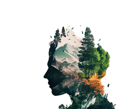 ESG Research Solutions