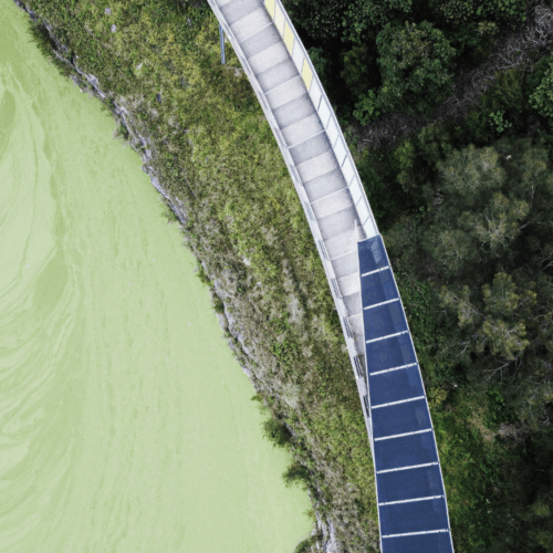 Transitioning from GRI to IFRS-Aligned Sustainability Reporting: A Phased Roadmap