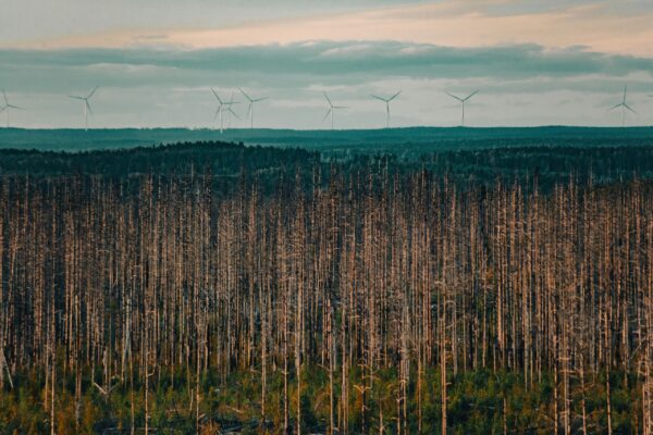 Climate Scenario Analysis a Framework for Resilience and Investment Insight