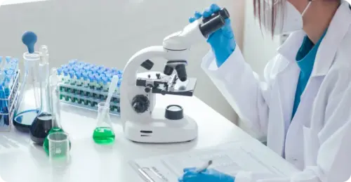 Healthcare & Life Sciences