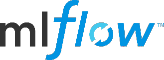 Governance & MLOps